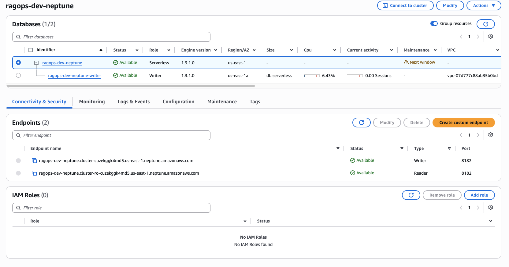 Amazon Neptune Serverless cluster — ragops-dev-neptune
