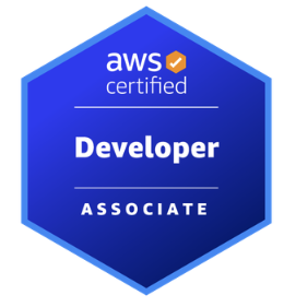 AWS Solutions Architect Professional Certificate