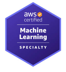 AWS Solutions Architect Professional Certificate