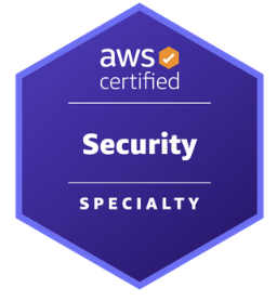 AWS Solutions Architect Professional Certificate